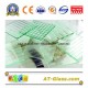 3~8mm Patterned Glass/Figured Glass/Pattern Glass Used for Window, Furniture, Bathroom, Building etc